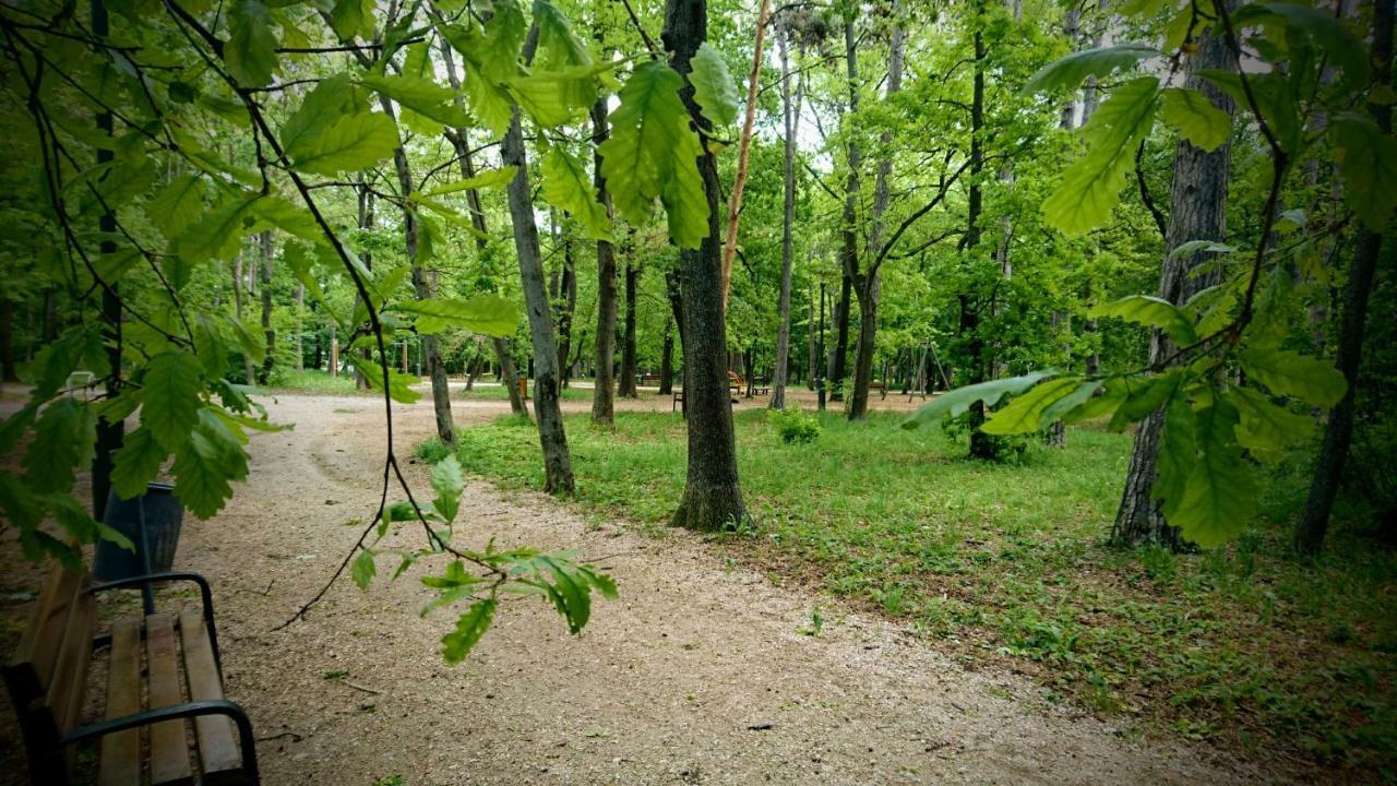 Balatonair Vendeghaz Hotell Balatonfüred Exteriör bild